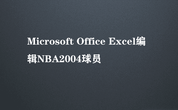 Microsoft Office Excel编辑NBA2004球员