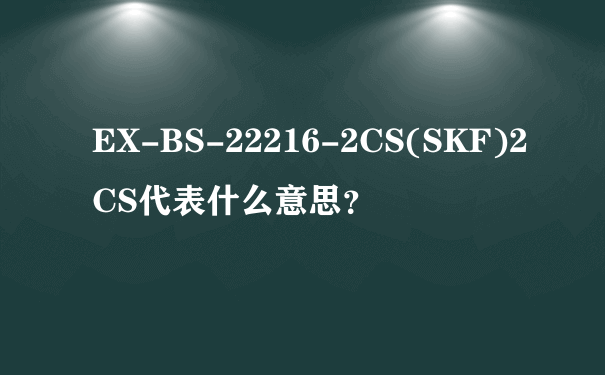 EX-BS-22216-2CS(SKF)2CS代表什么意思？