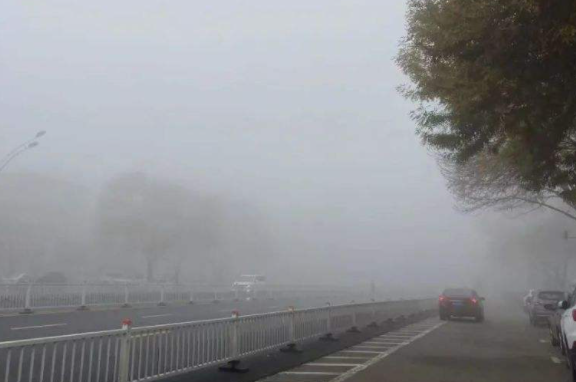 大雾是一个什么梗？