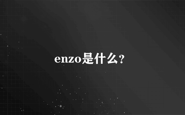 enzo是什么？