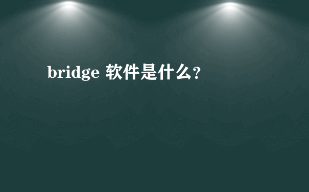 bridge 软件是什么？