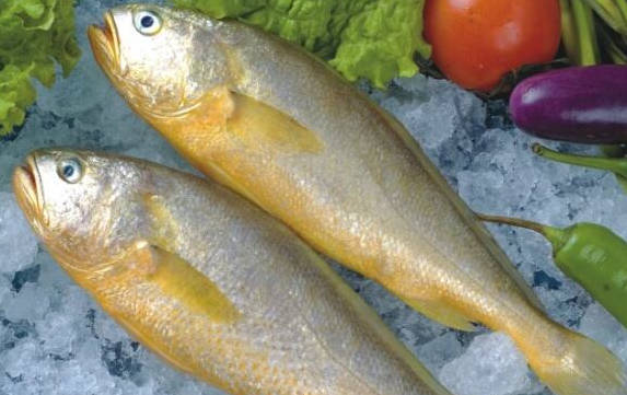 大黄鱼和小黄鱼是同一种鱼吗?有什么区别?