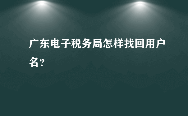 广东电子税务局怎样找回用户名？