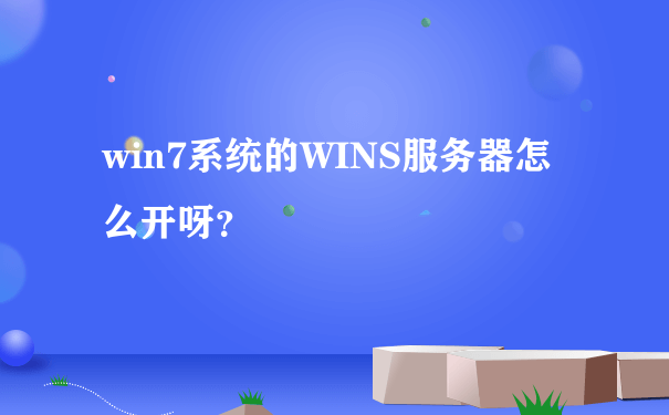 win7系统的WINS服务器怎么开呀？