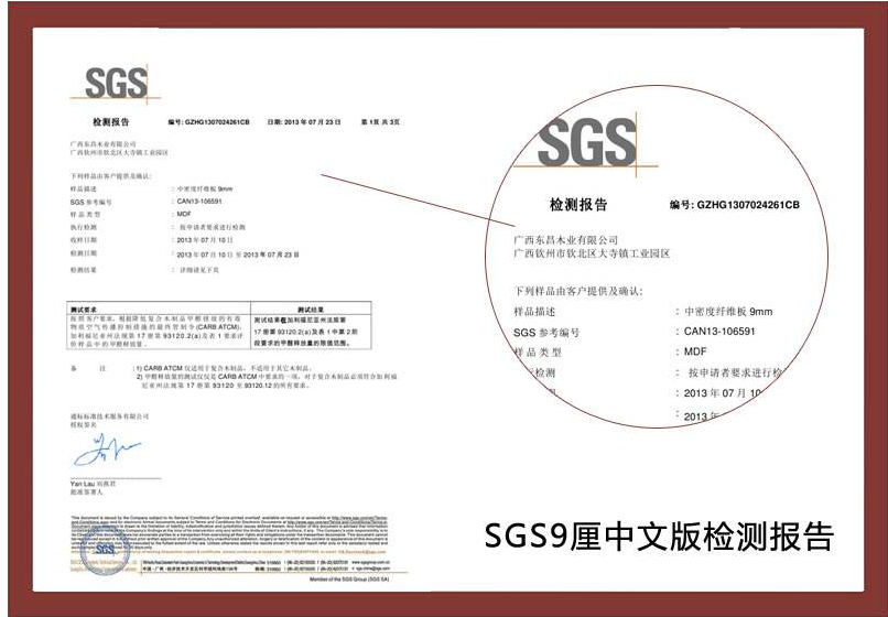 有做过SGS检测的吗？它是什么意思？