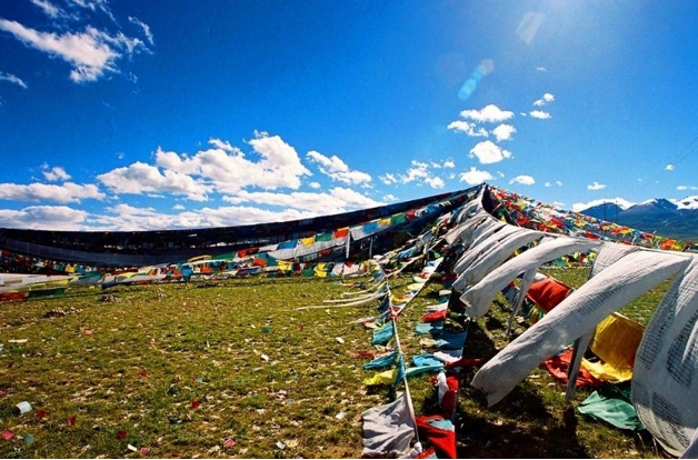 去西藏旅游需要多少钱?