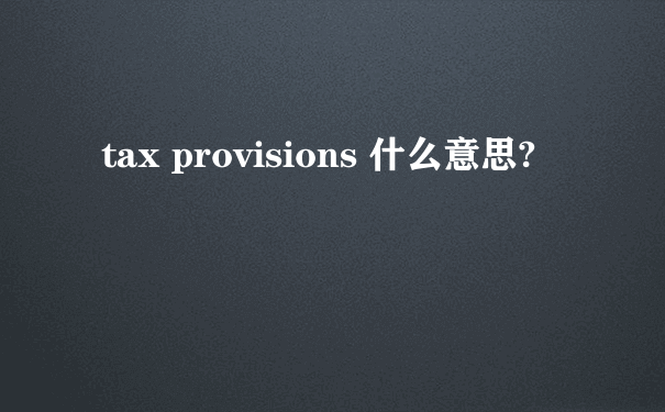 tax provisions 什么意思?