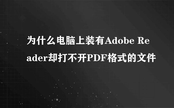 为什么电脑上装有Adobe Reader却打不开PDF格式的文件