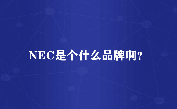 NEC是个什么品牌啊？
