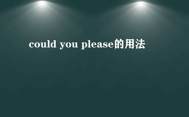 could you please的用法
