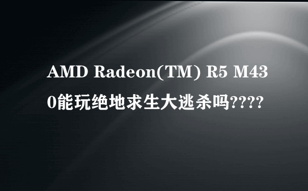 AMD Radeon(TM) R5 M430能玩绝地求生大逃杀吗????