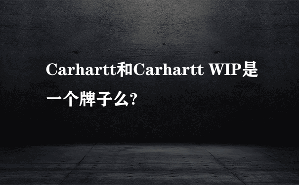 Carhartt和Carhartt WIP是一个牌子么?