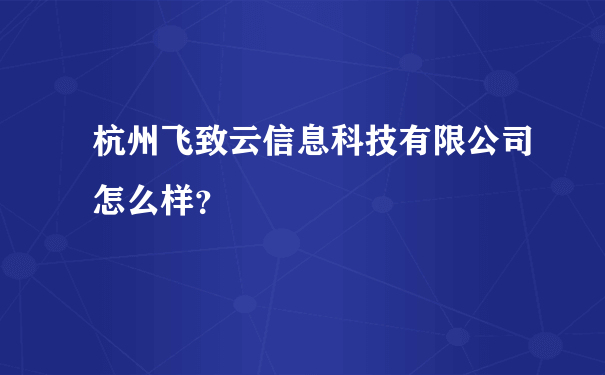 杭州飞致云信息科技有限公司怎么样？