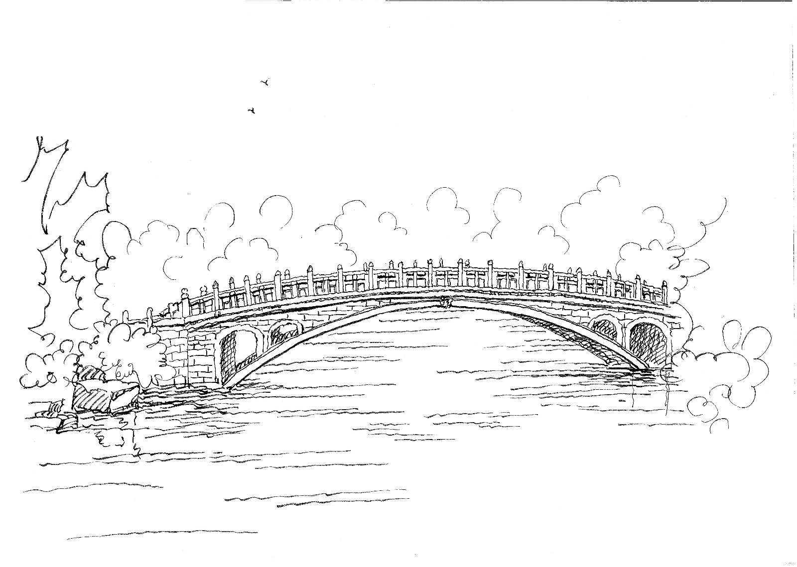 赵州桥和卢沟桥的结构图与数据及特点