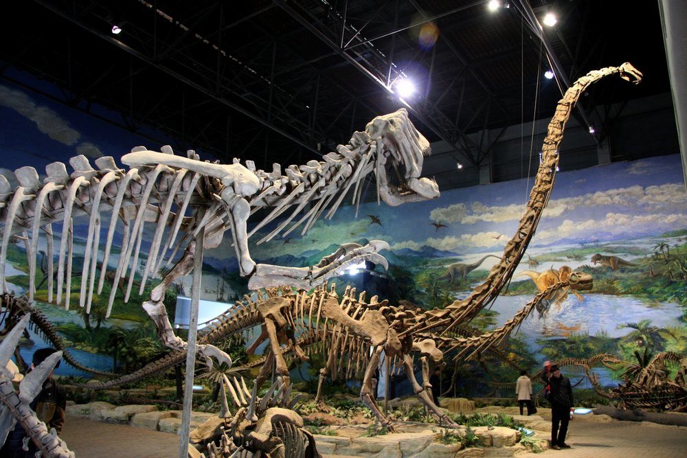 自贡恐龙博物馆的介绍