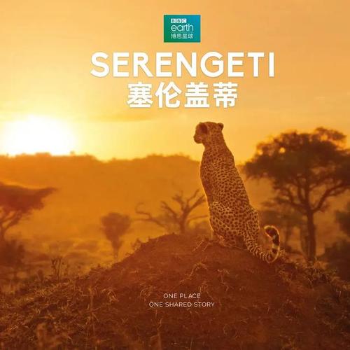 上帝：塞伦盖蒂God: Serengeti 百度云
