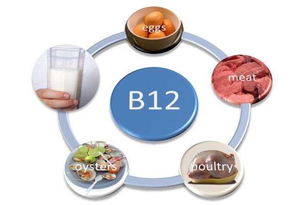 维生素b12的作用与功效有哪些
