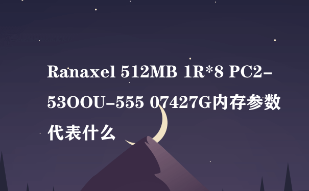 Ranaxel 512MB 1R*8 PC2-53OOU-555 07427G内存参数代表什么