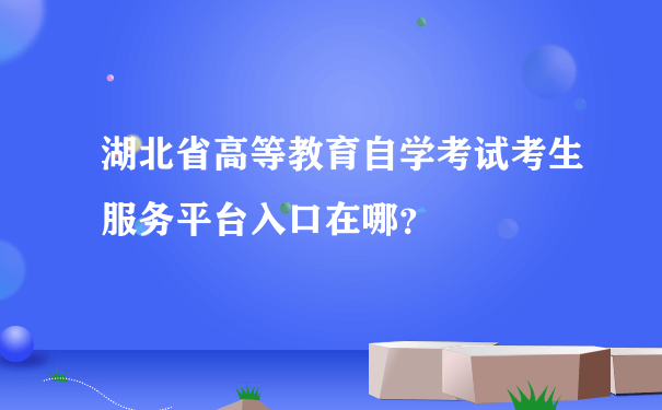 湖北省高等教育自学考试考生服务平台入口在哪？
