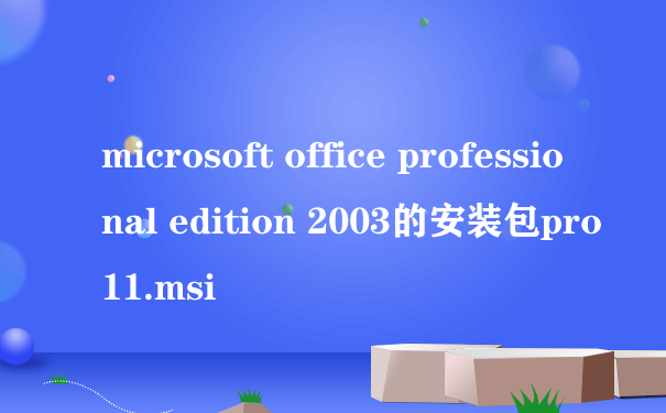 microsoft office professional edition 2003的安装包pro11.msi