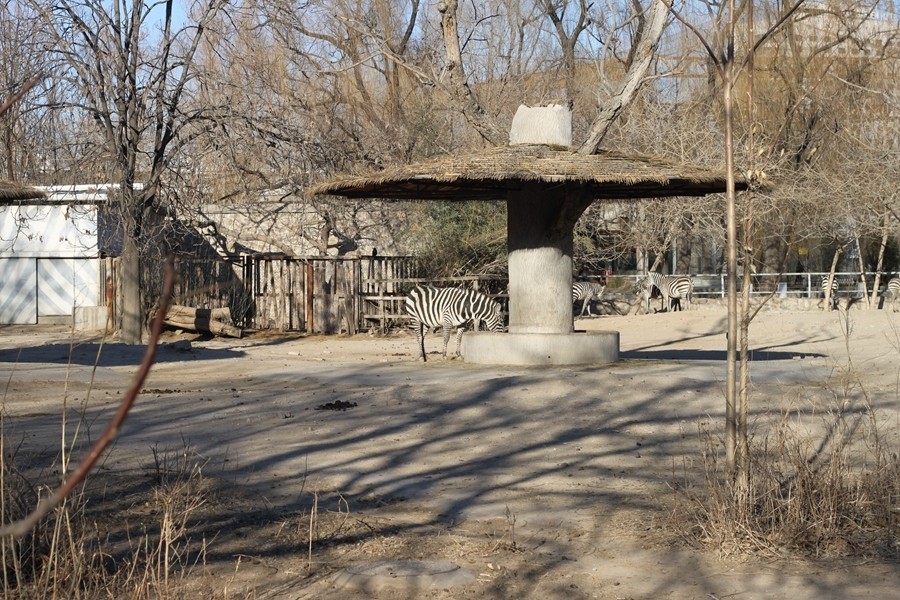 北京动物园营业时间