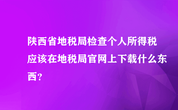 陕西省地税局检查个人所得税应该在地税局官网上下载什么东西？