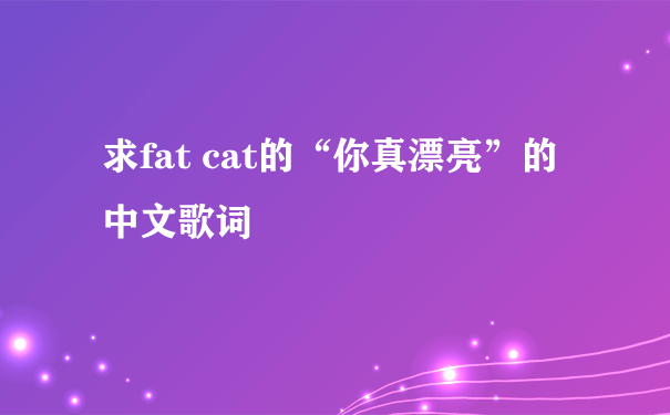 求fat cat的“你真漂亮”的中文歌词