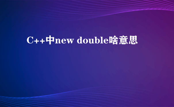 C++中new double啥意思