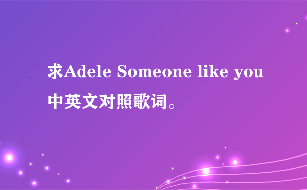 求Adele Someone like you 中英文对照歌词。