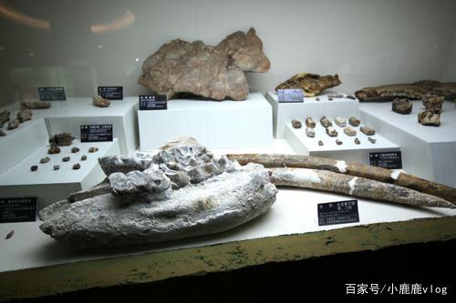 中国国内最早的古人类，元谋人发现于哪个省份？