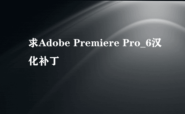 求Adobe Premiere Pro_6汉化补丁