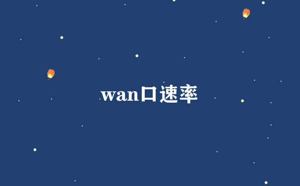 wan口速率