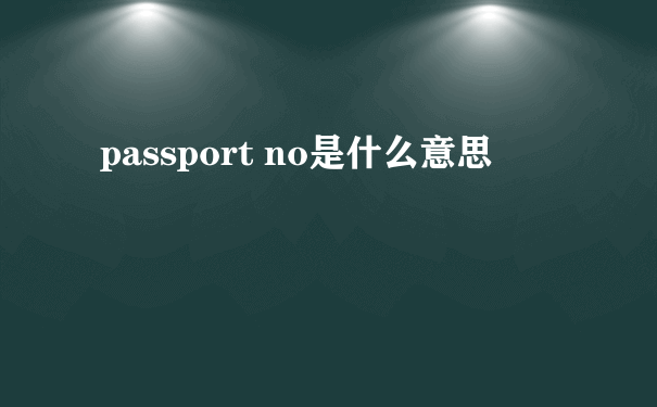 passport no是什么意思