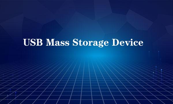 USB Mass Storage Device