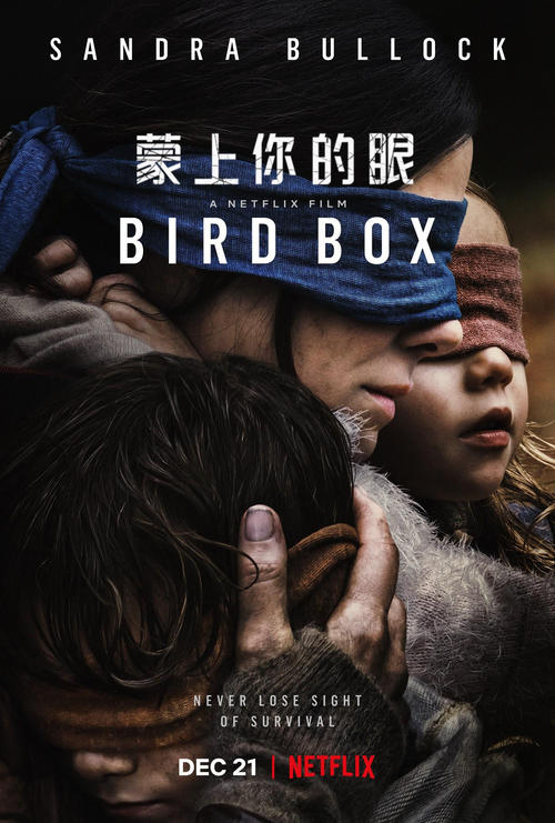 想要蒙上你的眼BirdBox(2018)由桑德拉·布洛克主演的免费百度云视频链接地址
