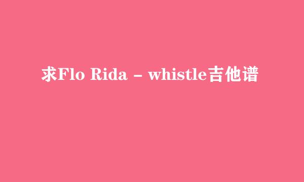 求Flo Rida - whistle吉他谱
