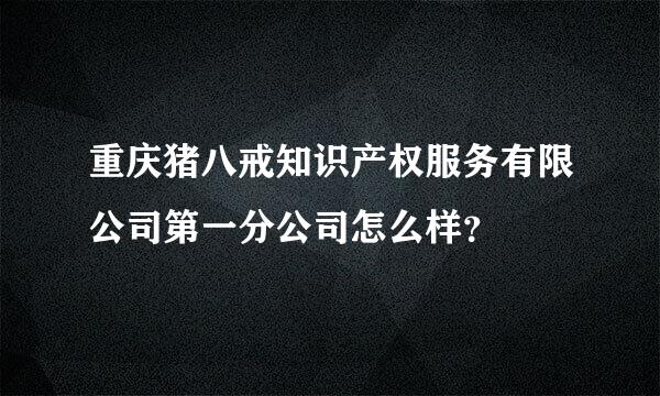 重庆猪八戒知识产权服务有限公司第一分公司怎么样？
