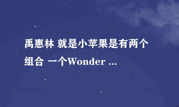 禹惠林 就是小苹果是有两个组合 一个Wonder Girls 还有一个是missa 是吗？？？？？