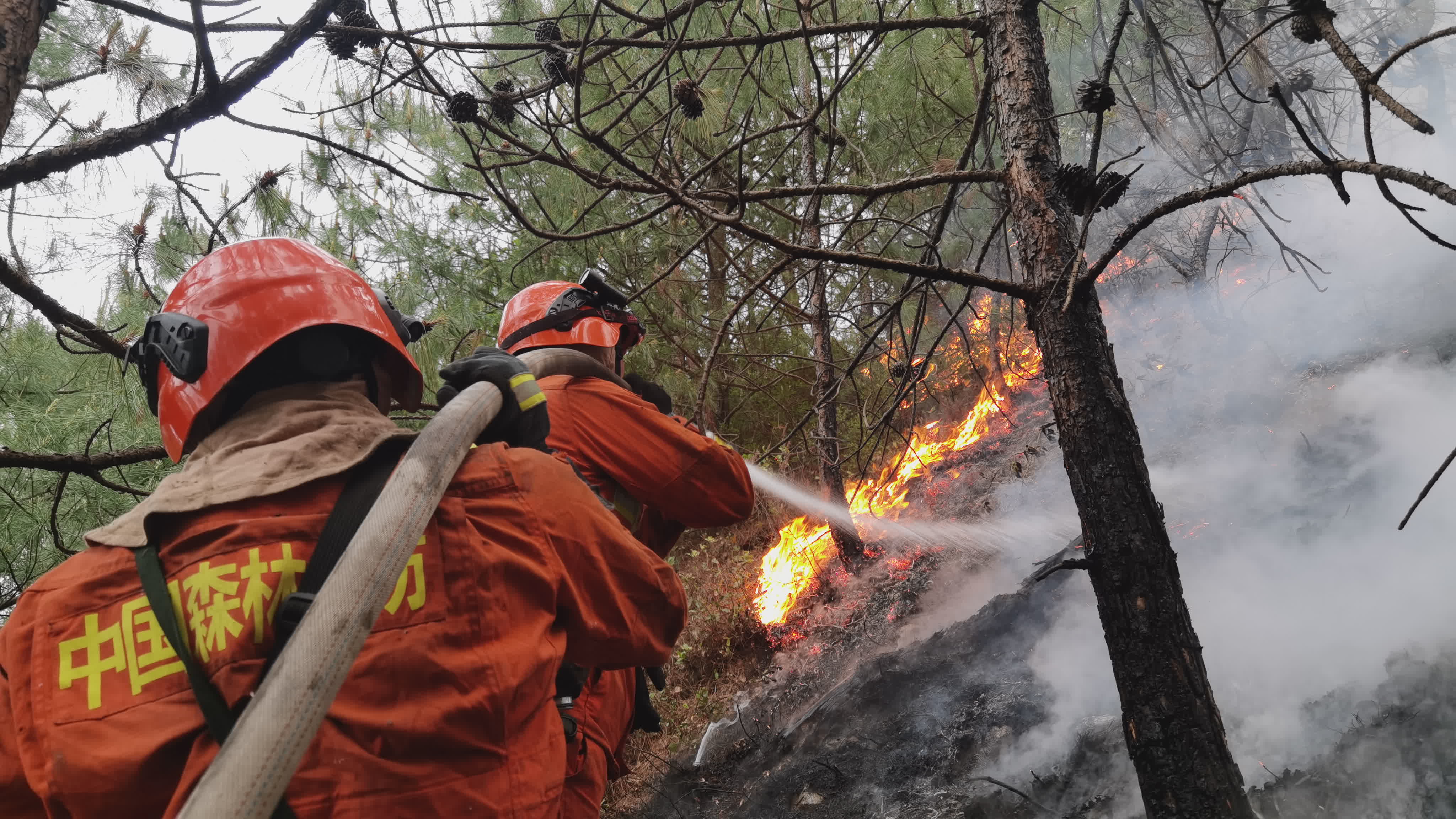 四川冕宁森林火灾：现场已有2000余人投入扑救，火灾是什么原因引起的?