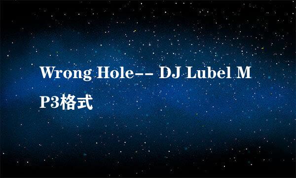 Wrong Hole-- DJ Lubel MP3格式