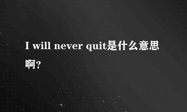 I will never quit是什么意思啊？