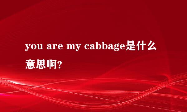you are my cabbage是什么意思啊？