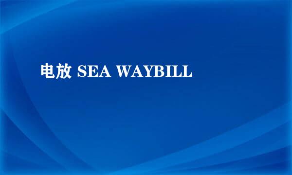 电放 SEA WAYBILL