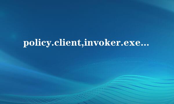 policy.client,invoker.exe 是什么进程