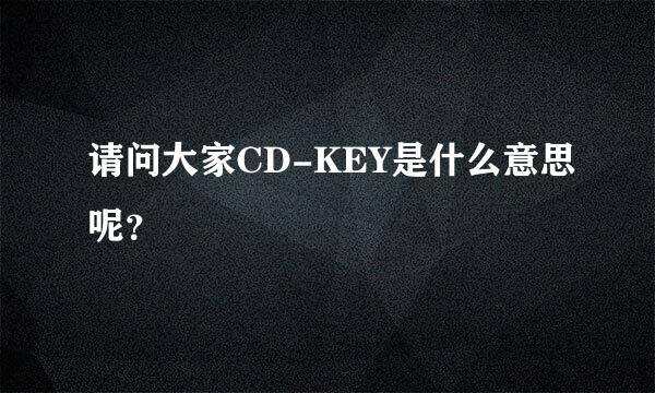 请问大家CD-KEY是什么意思呢？