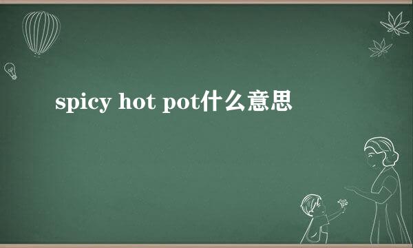 spicy hot pot什么意思