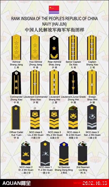 中国的军队里  四颗星是什么级别？