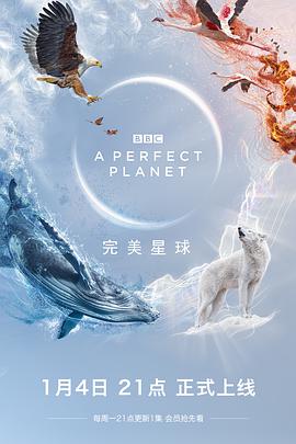 在线等完美星球APerfectPlanet(2021)大卫·爱登堡主演的免费百度网盘资源