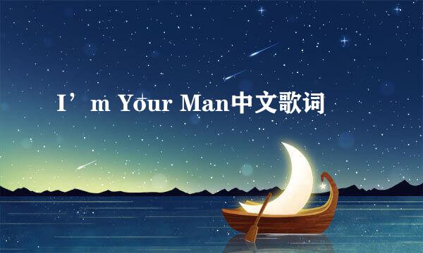 I’m Your Man中文歌词