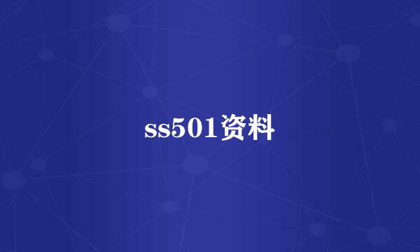 ss501资料